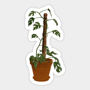 Philodendron Ginny Sticker